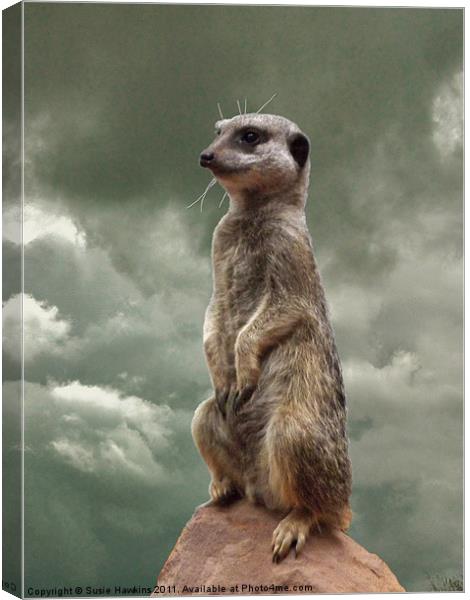 Meerkat - King of my World Canvas Print by Susie Hawkins