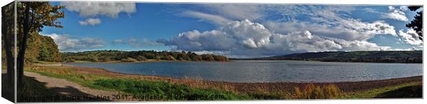 Blagdon- A lake with a view Canvas Print by Susie Hawkins