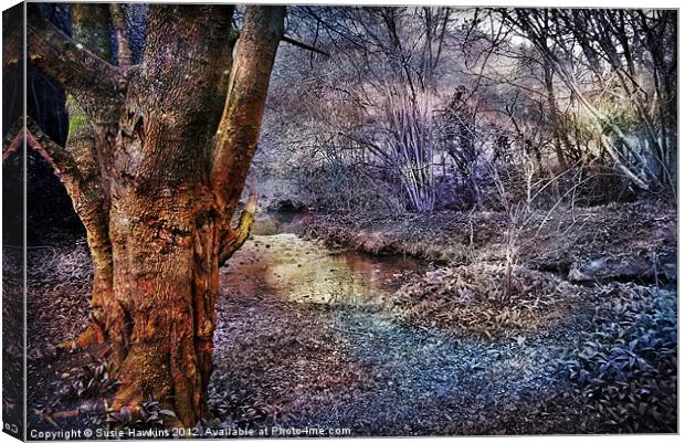 Painted Forest. Canvas Print by Susie Hawkins