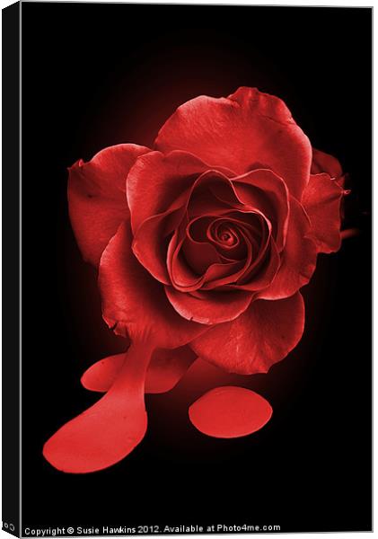 Painting the roses red... Canvas Print by Susie Hawkins