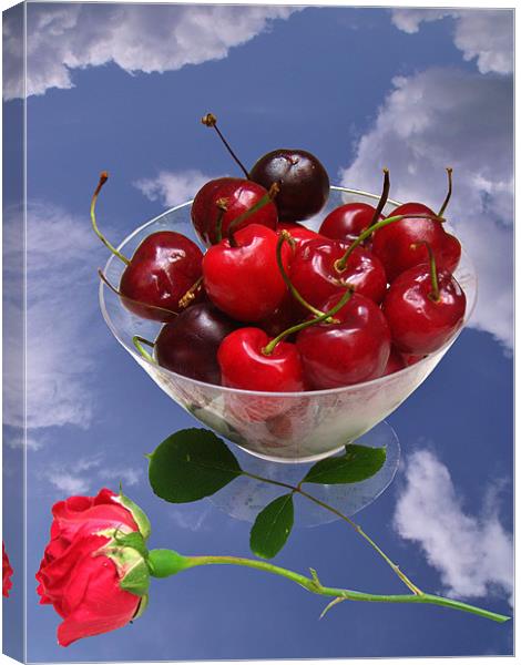 Cherries from Heaven Canvas Print by Susie Hawkins