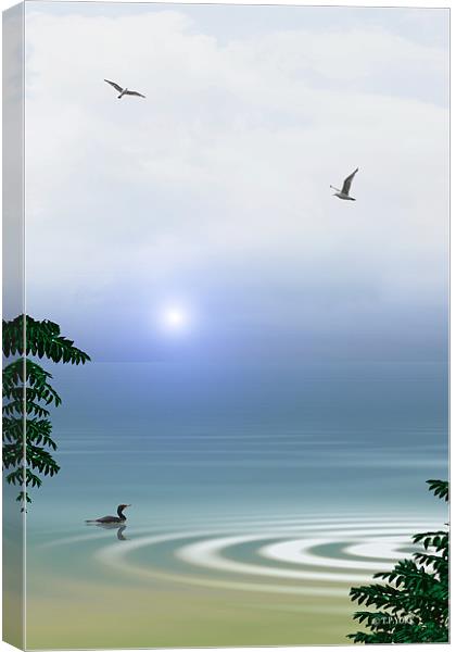 SEA OF SERENITY Canvas Print by Tom York