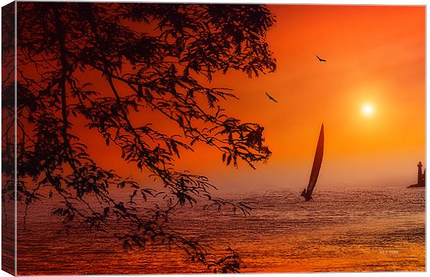 SAILING TO PARADISE Canvas Print by Tom York