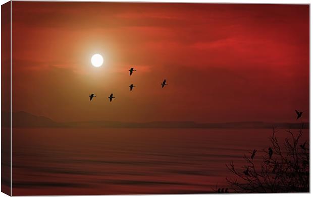 UNDER A BLOOD RED SKY Canvas Print by Tom York