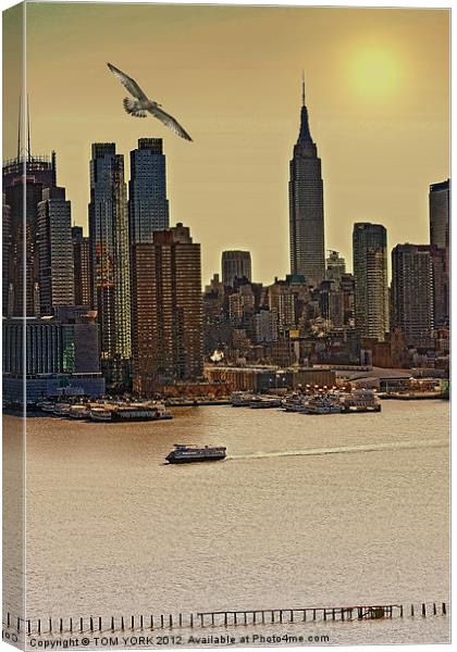 ACROSS THE WATER Canvas Print by Tom York