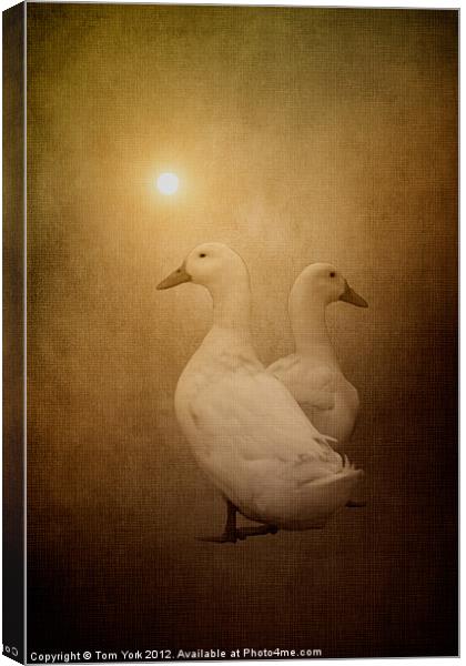 IMAGE MOST FOWL Canvas Print by Tom York