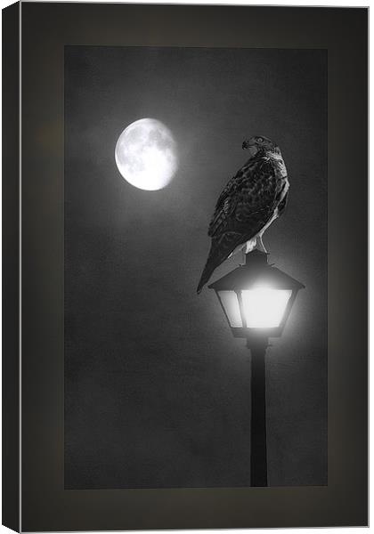 IN THE STILL OF THE NIGHT Canvas Print by Tom York