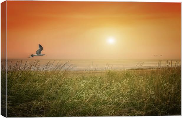THE SUN AND THE SEA Canvas Print by Tom York