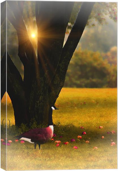 UNDER THE APPLE TREE Canvas Print by Tom York