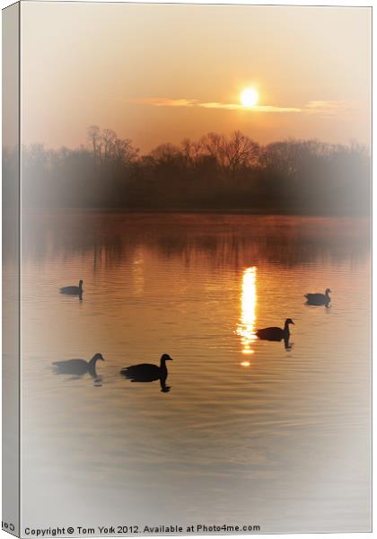 AND THE SUN WILL SHINE Canvas Print by Tom York