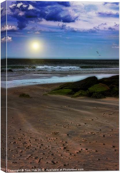 SURF'S UP Canvas Print by Tom York