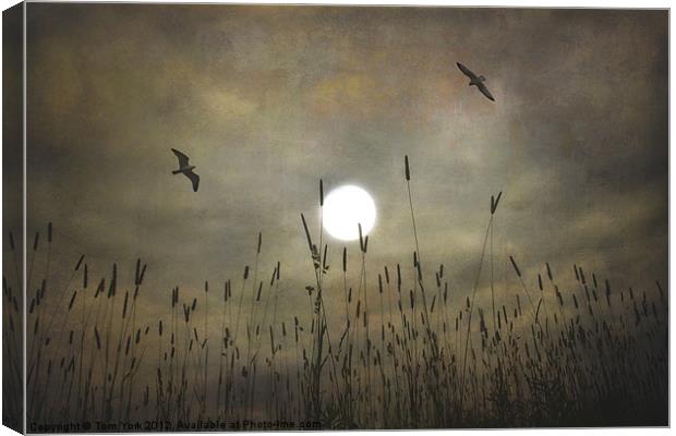 LOVERS MOON Canvas Print by Tom York