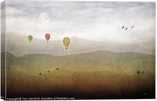 ABOVE THE ROLLING HILLS Canvas Print by Tom York