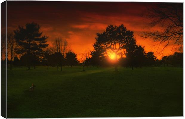 CAUGHT IN THE SUNSET Canvas Print by Tom York