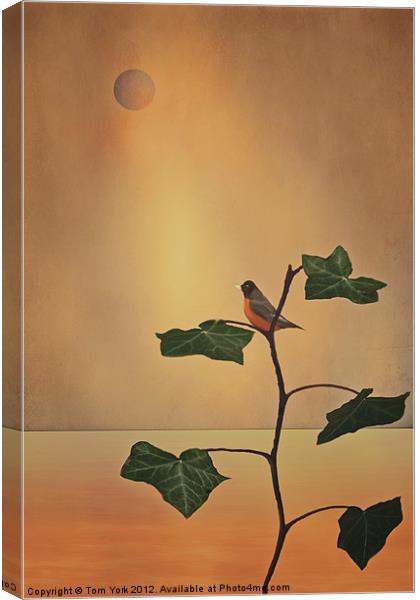 A MOMENT OF ZEN Canvas Print by Tom York