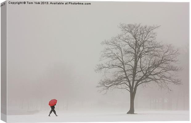 A SHORTCUT THROUGH THE SNOW Canvas Print by Tom York