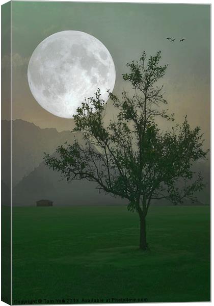 MOONLIGHT ON THE PLAINS Canvas Print by Tom York