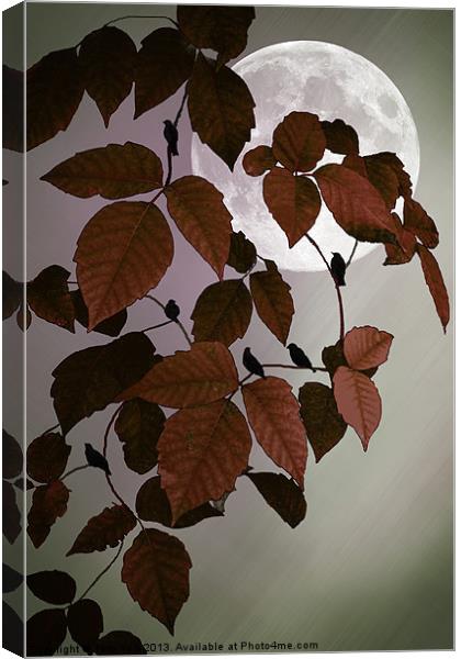 IN THE AUTUMN MOONLIGHT Canvas Print by Tom York