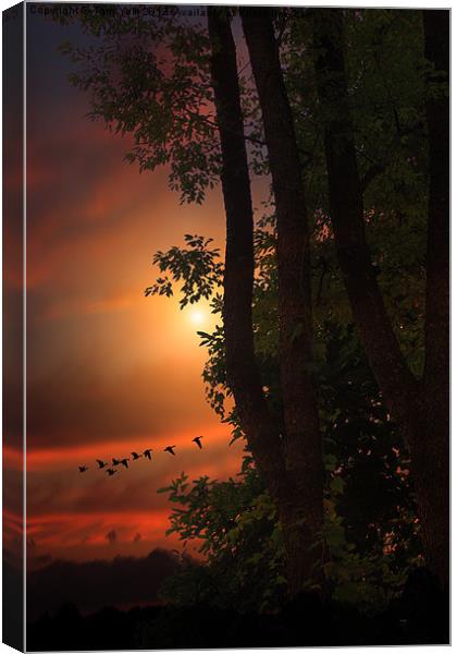 LATE AUGUST SUNSET Canvas Print by Tom York