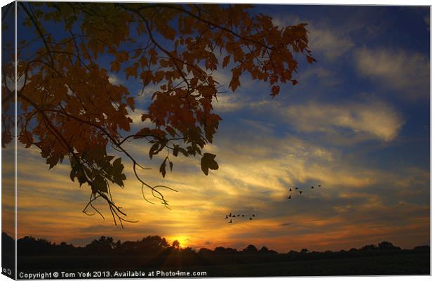 COUNTRY SUNSET Canvas Print by Tom York