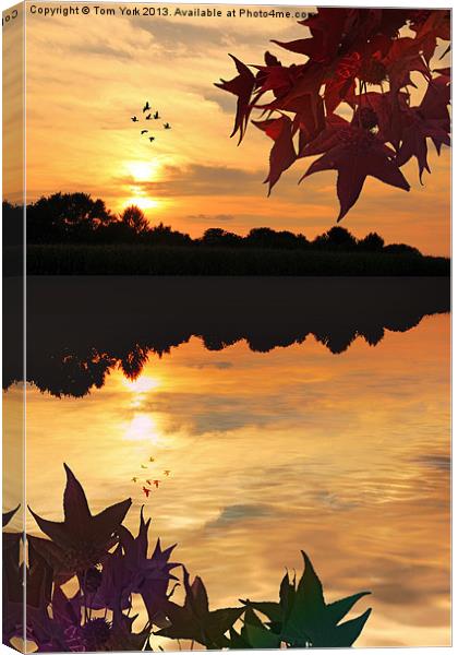 AS THE SUN SETS Canvas Print by Tom York
