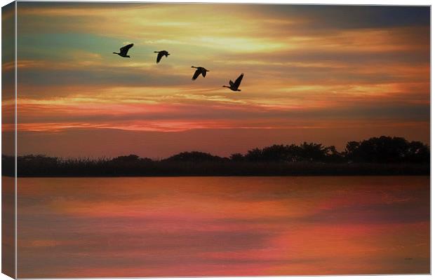 SEPTEMBER SKY Canvas Print by Tom York