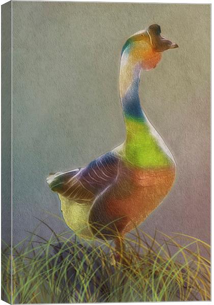 A Goose Of Many Colors Canvas Print by Tom York
