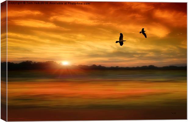 Sunset Serenity Canvas Print by Tom York