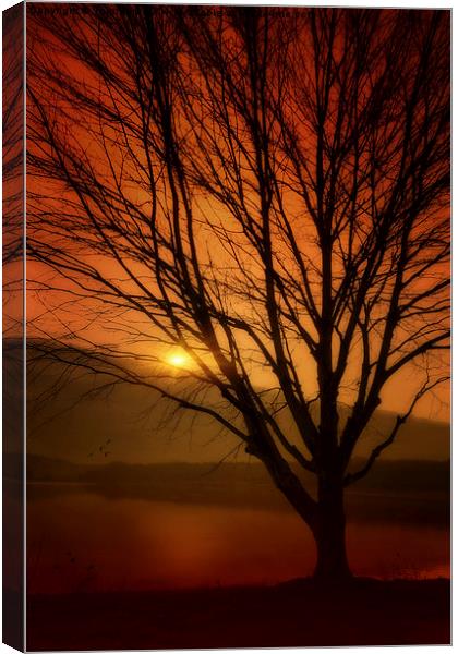 July Sunset Canvas Print by Tom York