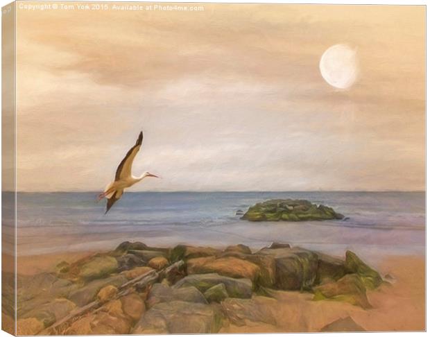  The Stork And The Sea Canvas Print by Tom York