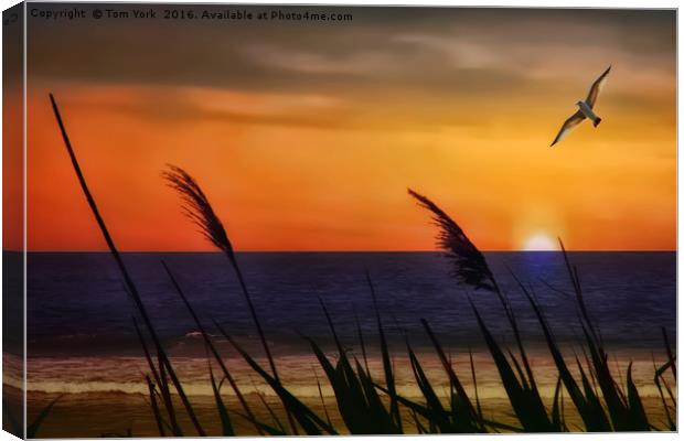 Summer At The Beach Canvas Print by Tom York