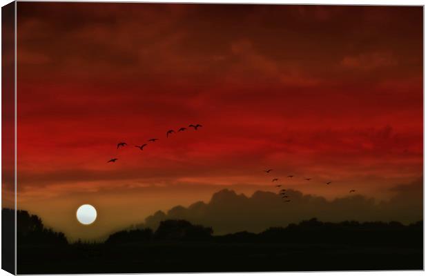 Into A Scarlet Sky Canvas Print by Tom York