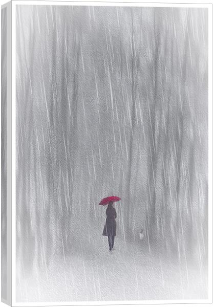 Woman With Red Umbrella Canvas Print by Tom York