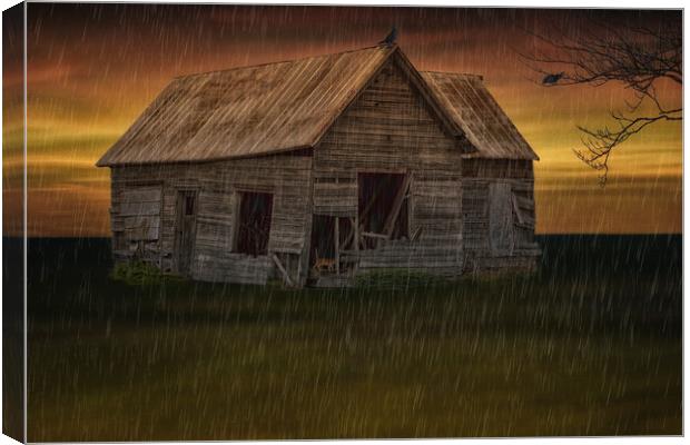 Shelter From The Storm Canvas Print by Tom York