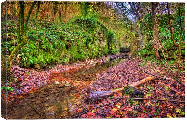 Abandoned Locks on the Thames and Severn Canal Canvas Print by Simon Litchfield