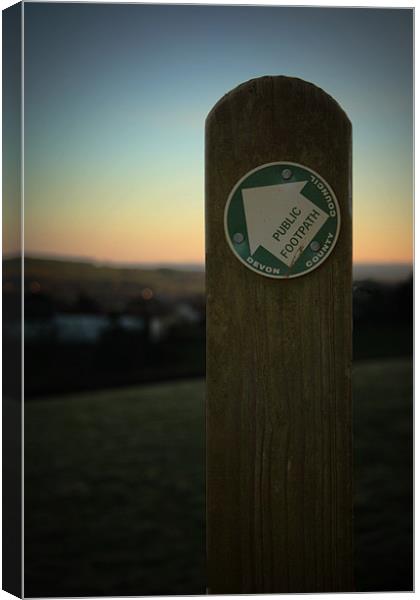Public Footpath Canvas Print by Dave Livsey