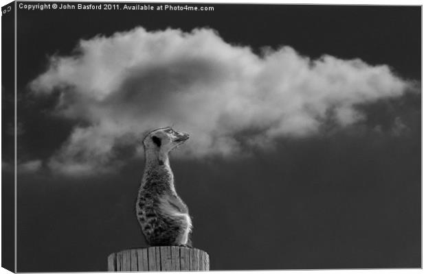 The Lookout Canvas Print by John Basford