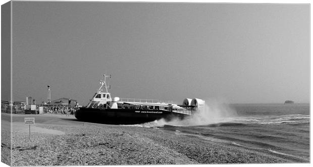 Coming into Land Canvas Print by John Basford