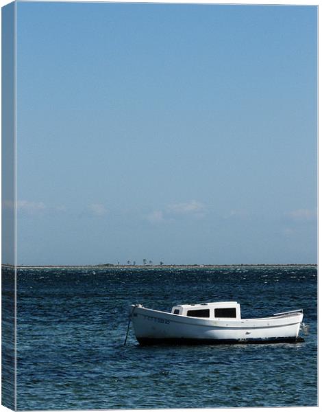 Lonely Boat Canvas Print by John Basford
