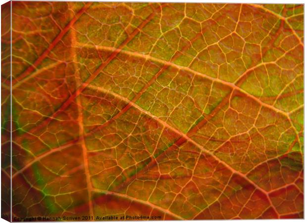 Leafy layers Canvas Print by Hannah Scriven