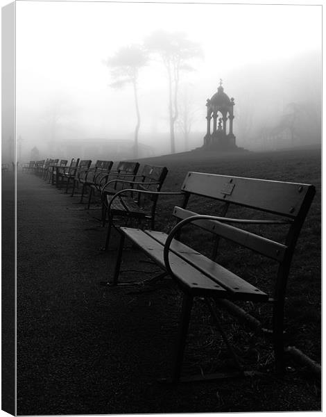 Fogbound Benches. Canvas Print by Roy Barry