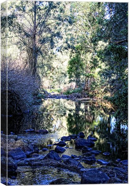 Strongs Creek Canvas Print by Adrian McMillan