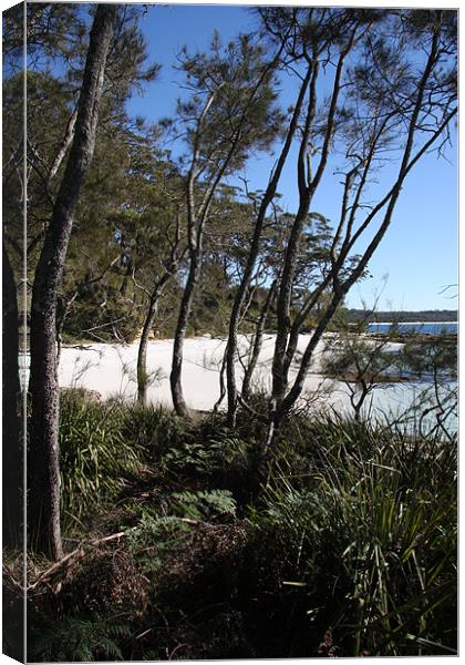 Jervis Bay Cove Canvas Print by Adrian McMillan