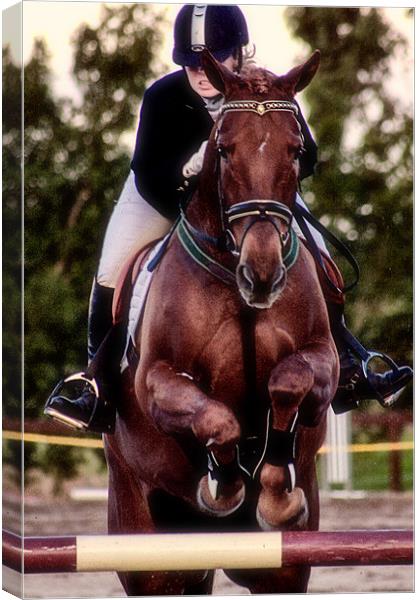 Show Jumping Canvas Print by Adrian McMillan