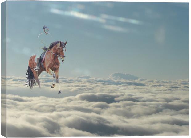 Floating on a cloud Canvas Print by Adrian McMillan
