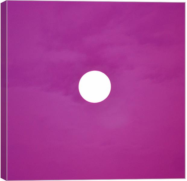 Purple Haze Canvas Print by Darrin Collett