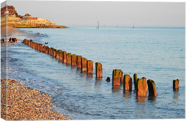 Selsey Shore Canvas Print by Darrin Collett