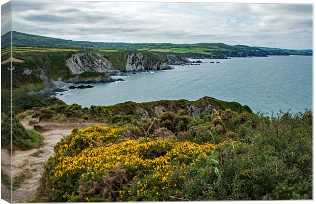 Dinas Head Canvas Print by Geoff Storey