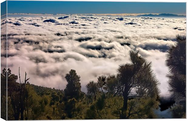 Trees above the Clouds Canvas Print by Geoff Storey