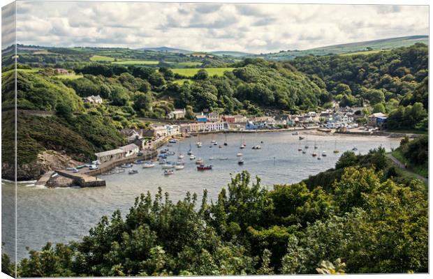 Lower Fishguard (2) Canvas Print by Geoff Storey